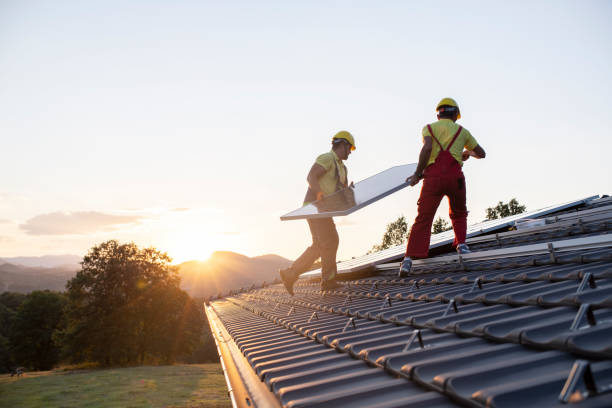 Best Roof Moss and Algae Removal  in Samson, AL